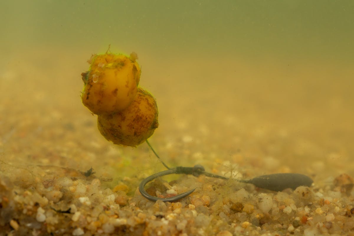 Combi rigs are also good for larger hookbaits and can be fished with any type of lead set-up, including a lead clip