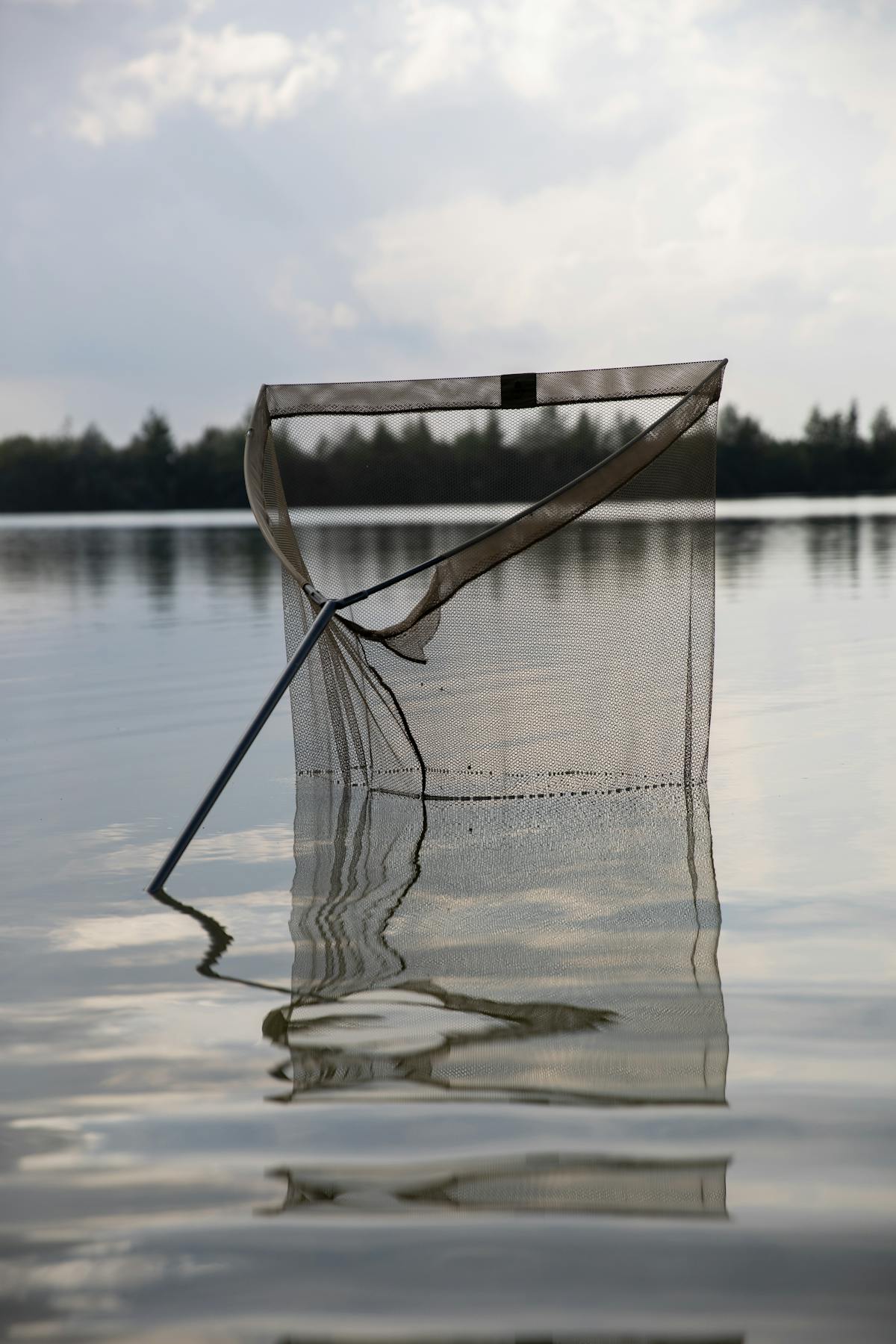 Landing a carp is just the beginning, and ultimately it is down to you to ensure it goes back in as good a condition as before you caught it