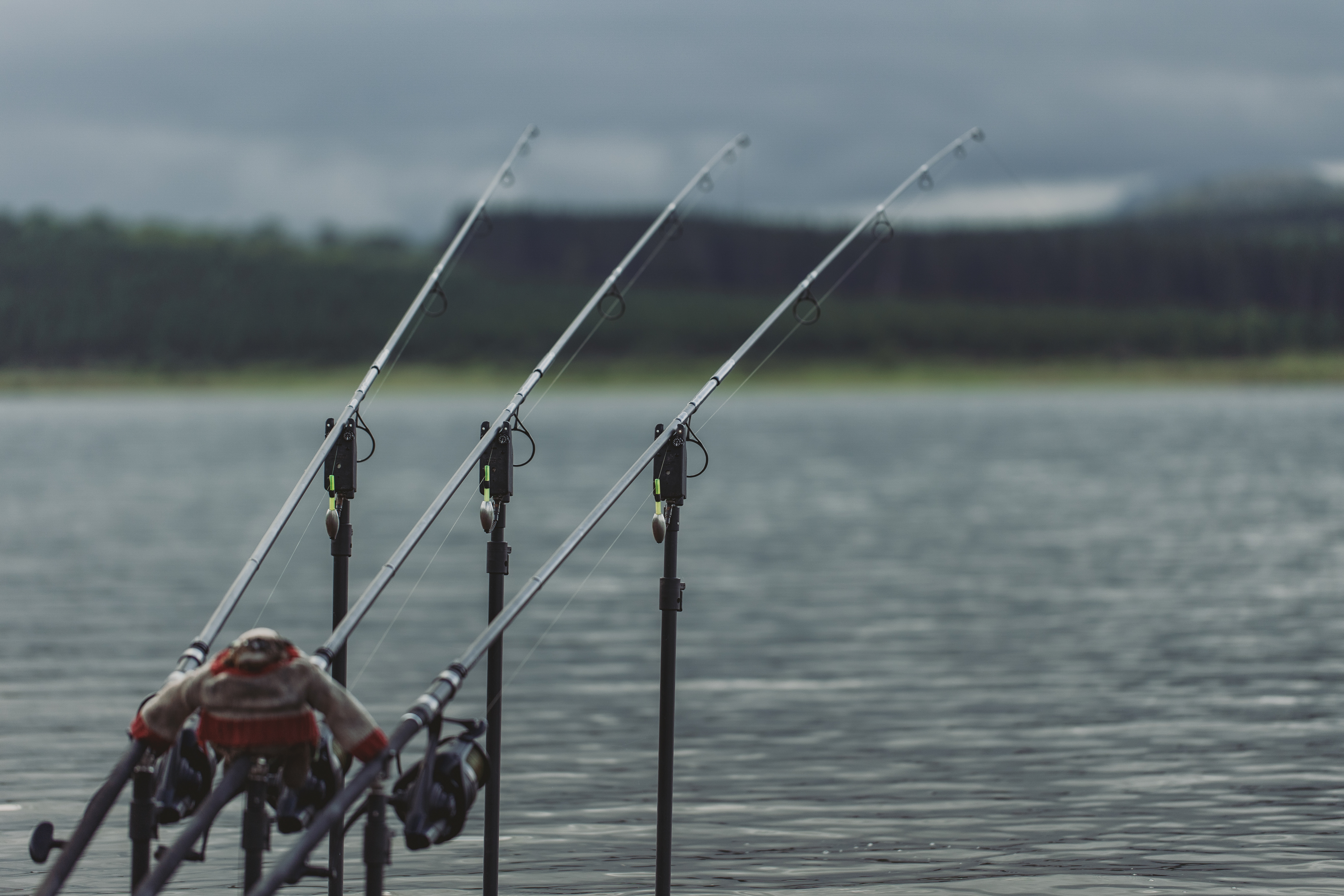 Coleman Outfiter COS602 2-Piece 6' Spinning Fishing Rod | eBay
