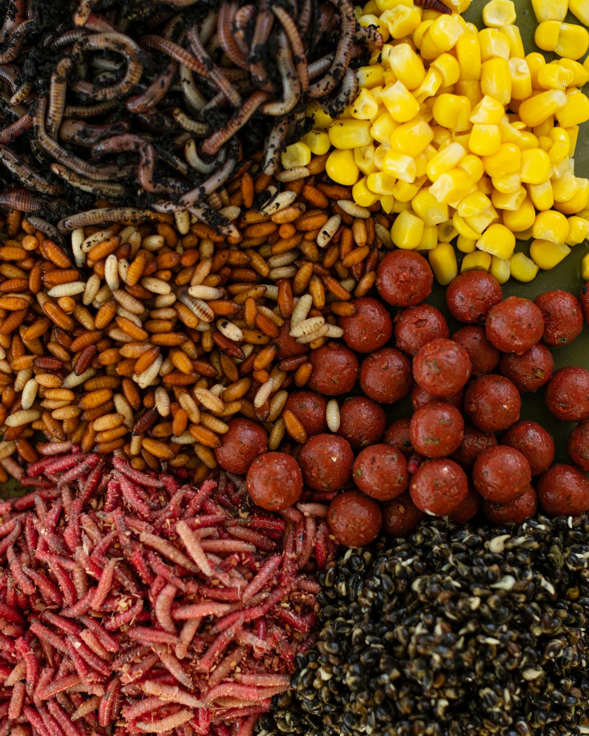 If all the anglers are using natural baits rather than things such as boilies and corn, then fish weights can start to decline