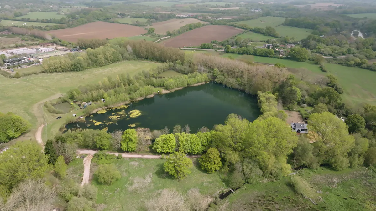 The Manor is a tricky little weedy lake that is home to the UK's largest fully scaled mirror