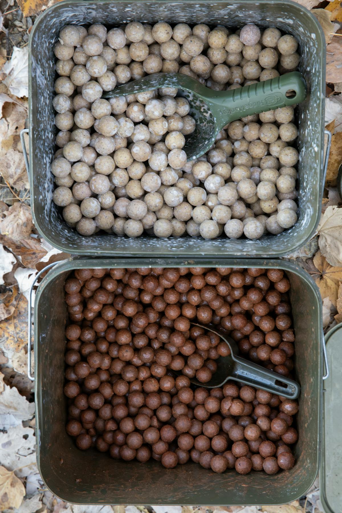 Your carp fishing boilies can really benefit from the addition of liquid attractors to make them even better for carp fishing