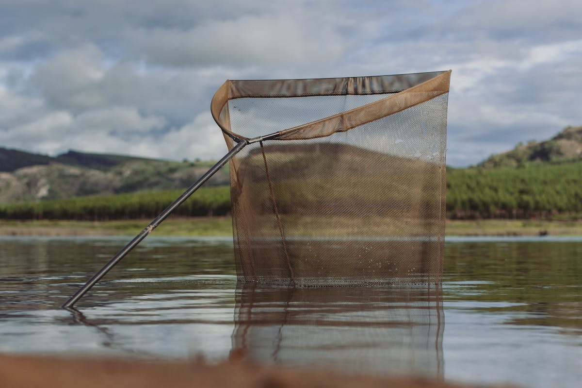 The Spring Bow or Kaizen Green models are the ideal net for carp fishing and offer fantastic performance and reliability