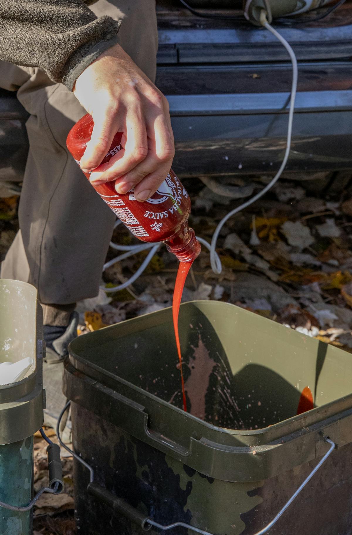 Danny Fairbrass is a big fan of adding stuff to his carp bait, and will use his own bait soaks on his freebies as well as hook bait