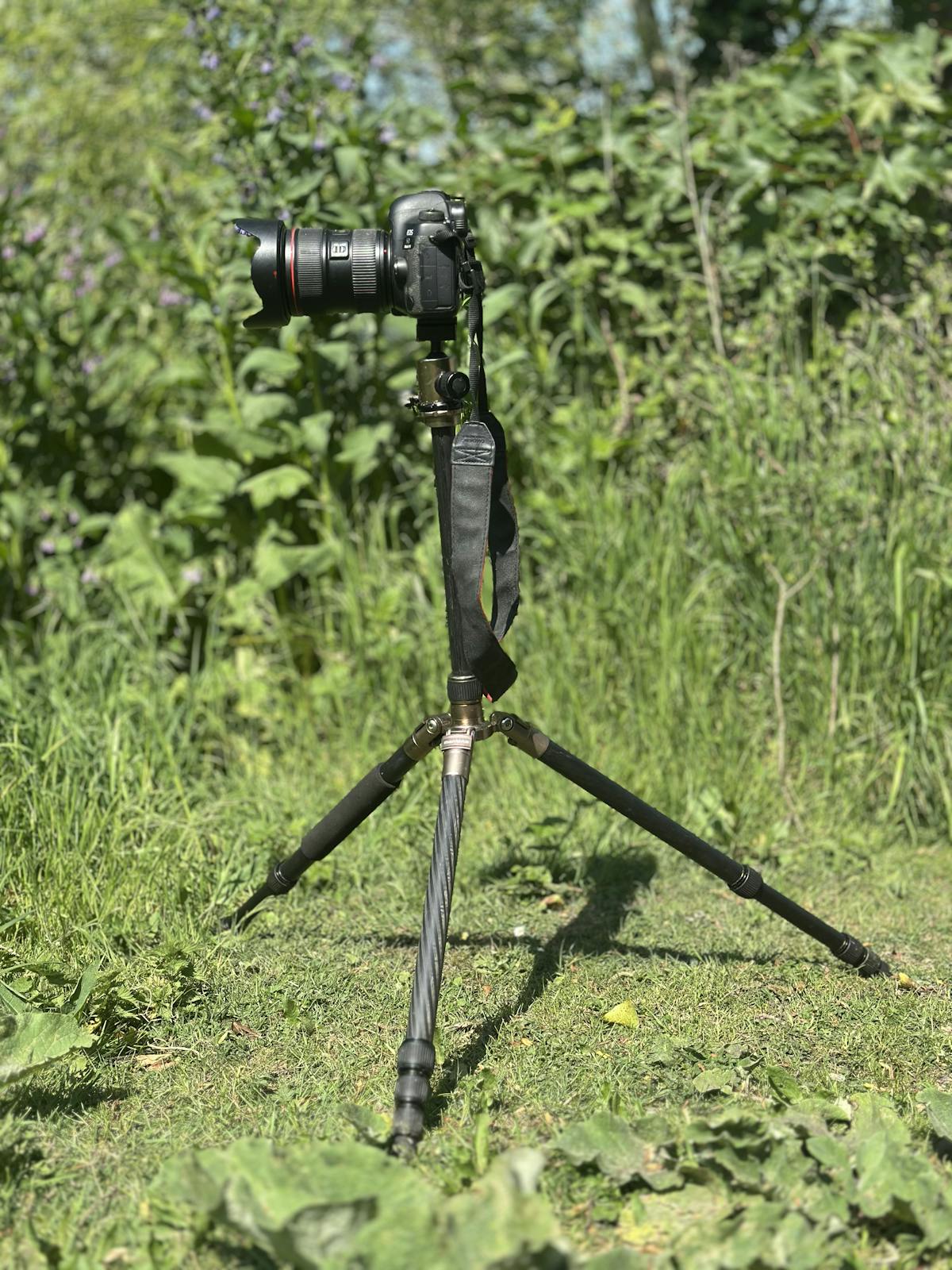 You will need a tripod that is suitable for supporting your camera