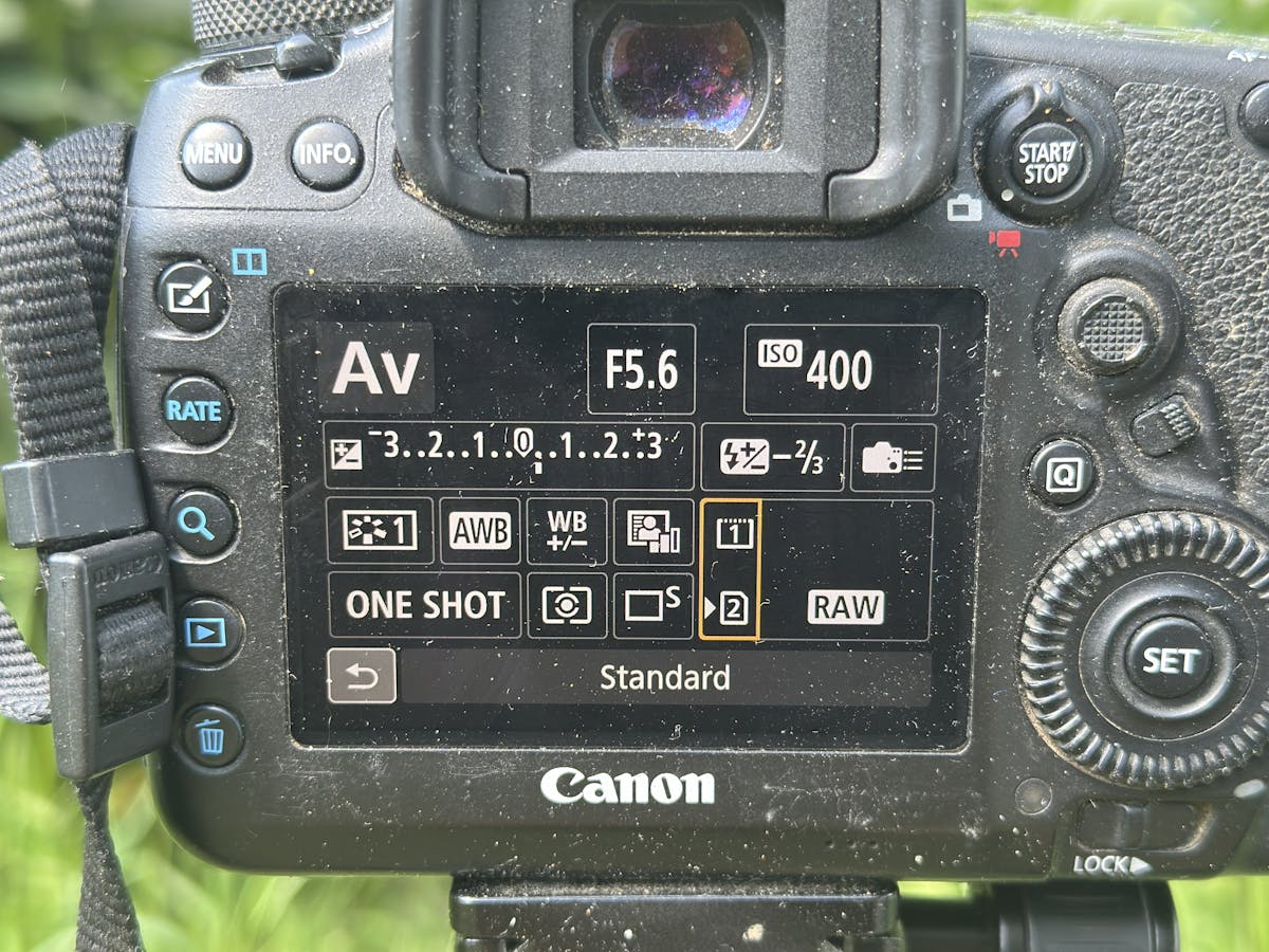 Aperture and shutter speed are important elements but often confuse beginner photographers, but really it all comes down having enough light, as that will dictate the settings you can use