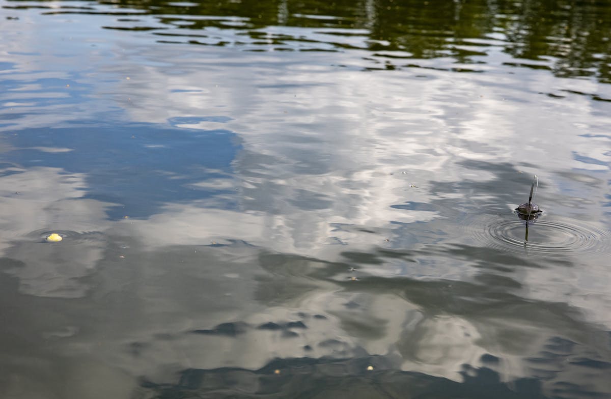 The Korda Zig Float is available in two models so that you can pick the optimum size - large is best for long range fishing
